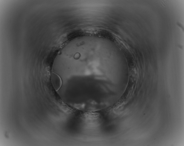 X0000091880707200709051324