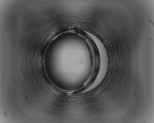 X0000091880708200709051324