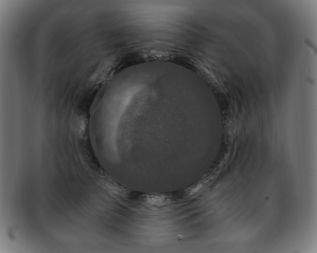 X0000091880709200709051324