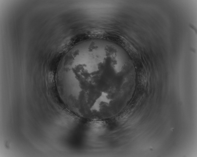 X0000091880711200709051324