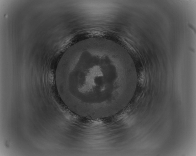 X0000091880715200709051324