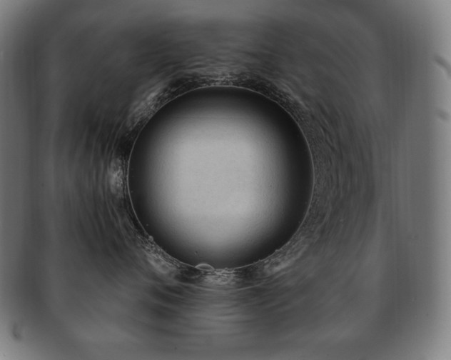 X0000091880720200709051324