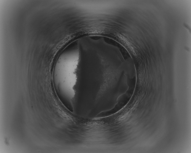 X0000091880721200709051323