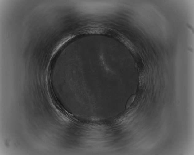 X0000091880722200709051323