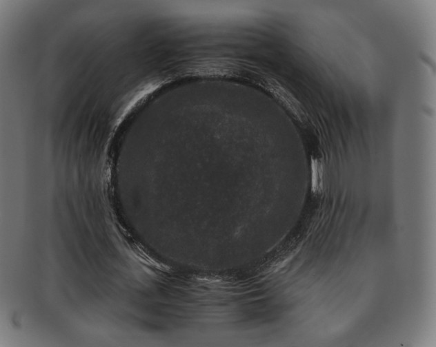 X0000091880723200709051323