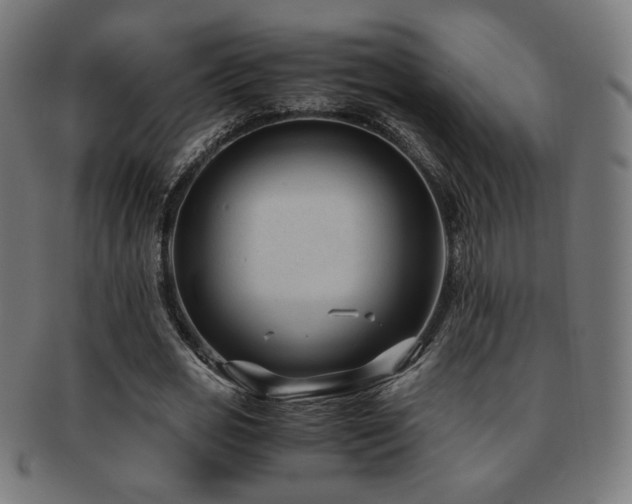 X0000091880725200709051323