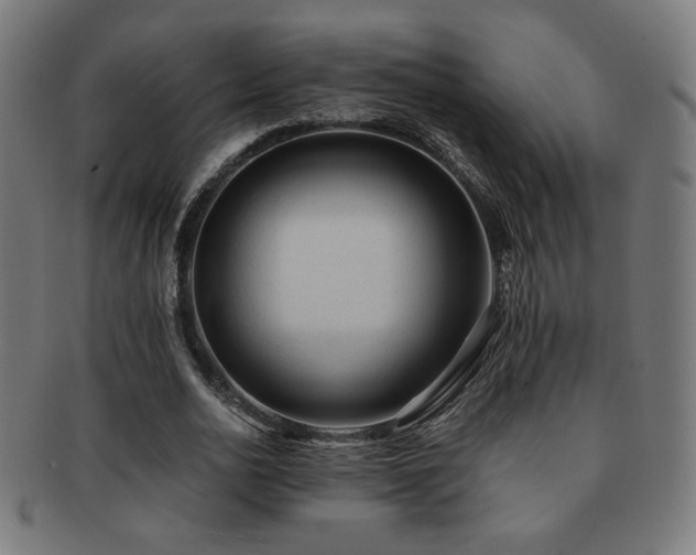 X0000091880726200709051323
