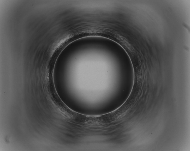 X0000091880727200709051323