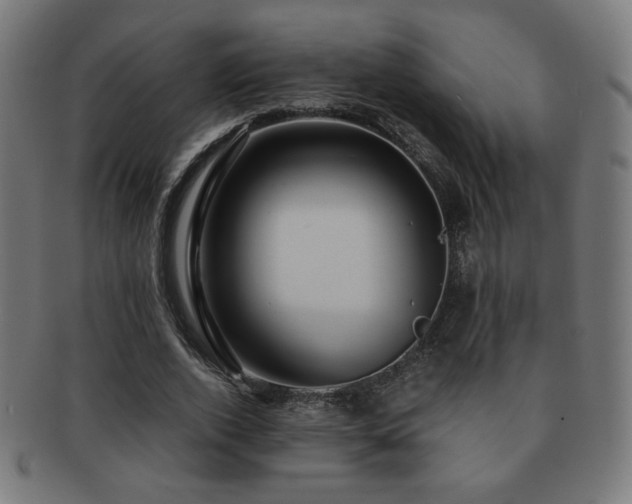 X0000091880728200709051323