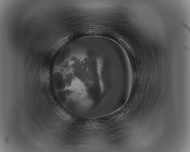 X0000091880729200709051323