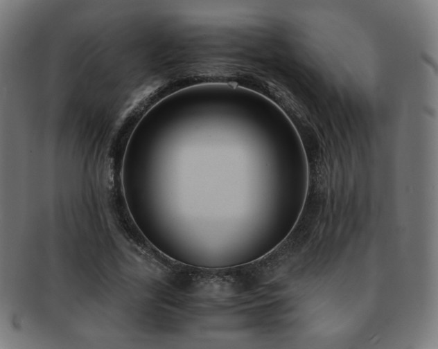 X0000091880731200709051323
