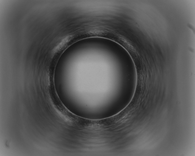 X0000091880734200709051323