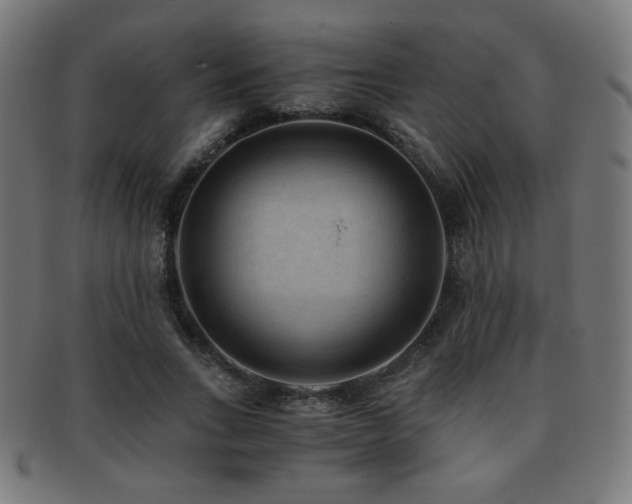 X0000091880735200709051323