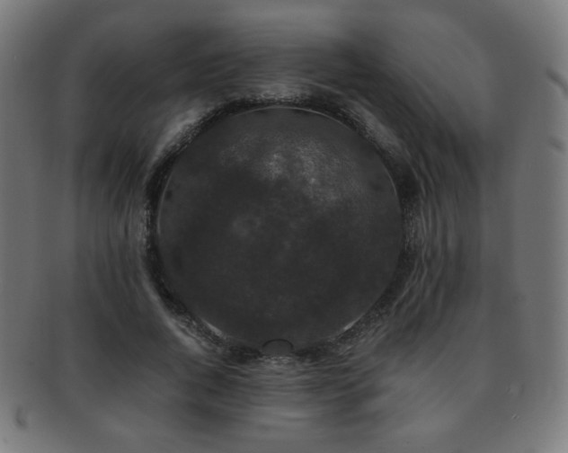 X0000091880736200709051323