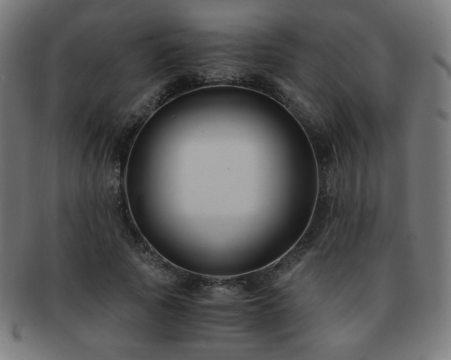 X0000091880737200709051323