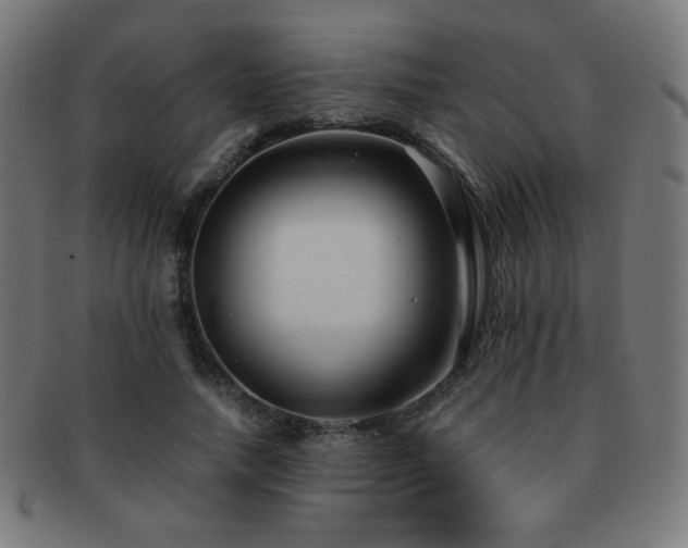X0000091880738200709051323