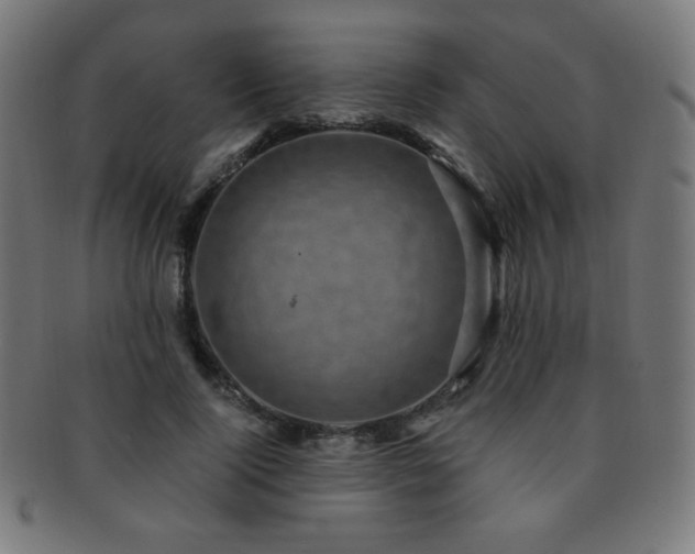 X0000091880740200709051323