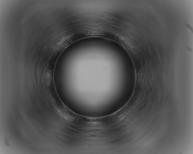 X0000091880741200709051323