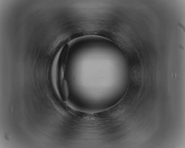 X0000091880742200709051323