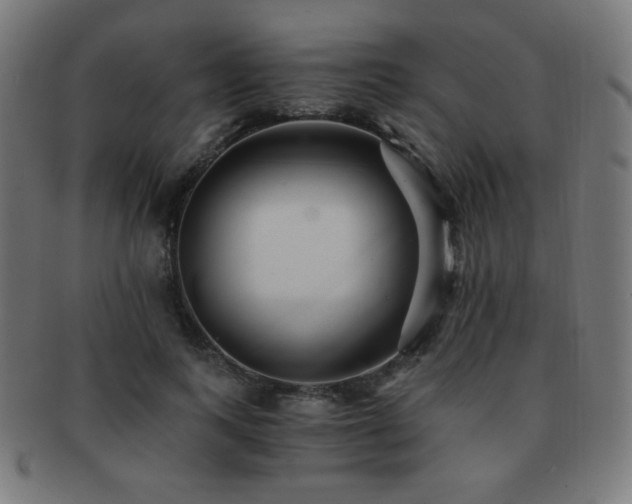 X0000091880743200709051323