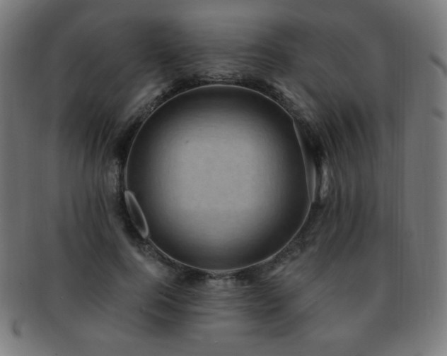X0000091880744200709051323