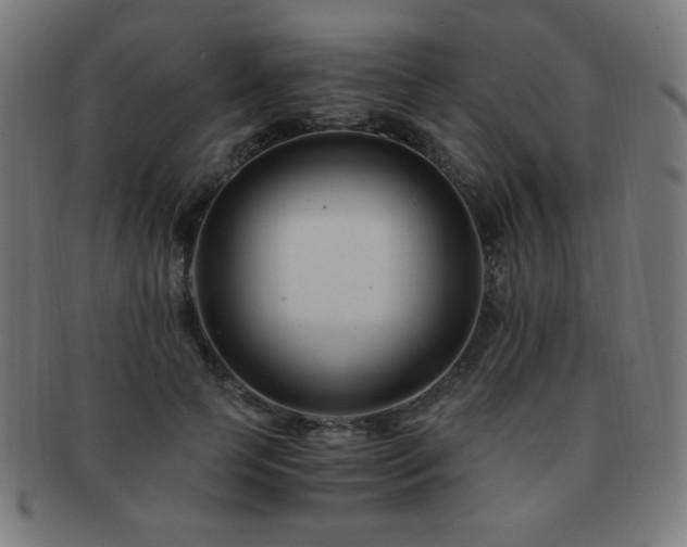 X0000091880745200709051323
