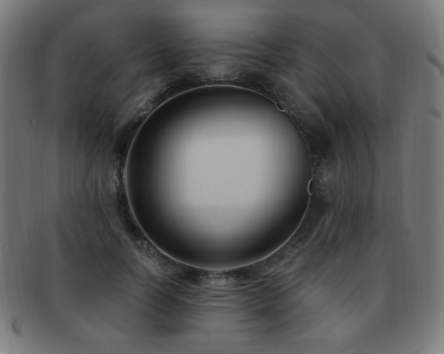 X0000091880746200709051323