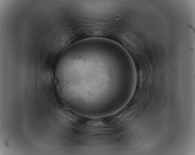 X0000091880747200709051323