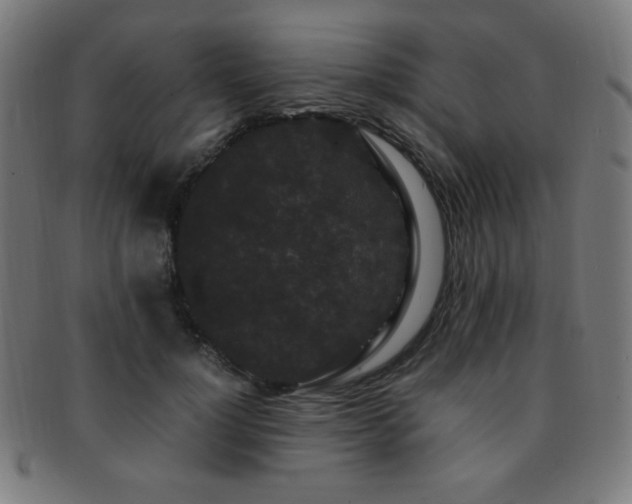 X0000091880748200709051323