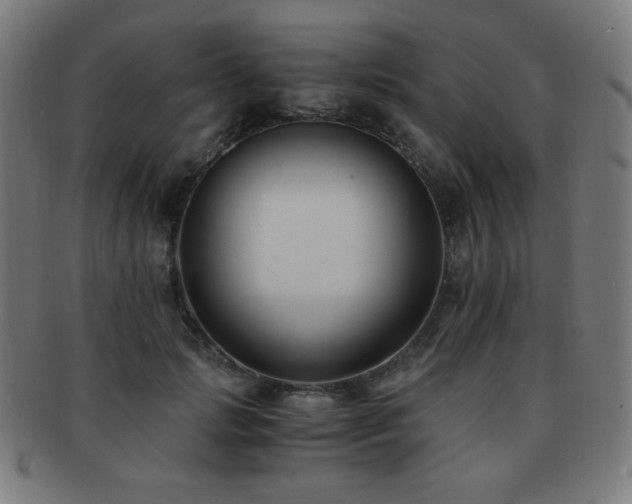 X0000091880749200709051323
