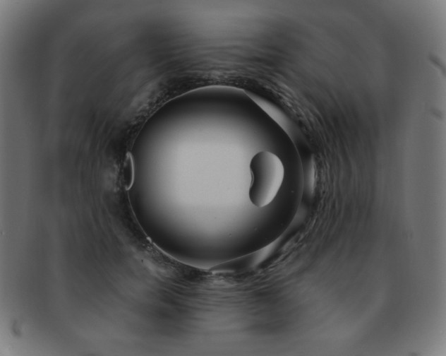 X0000091880750200709051323