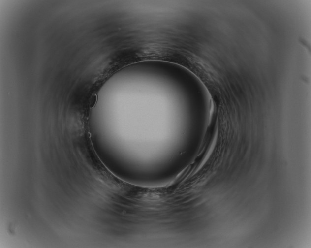 X0000091880751200709051323