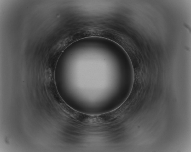 X0000091880752200709051323