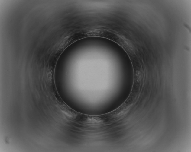 X0000091880753200709051323