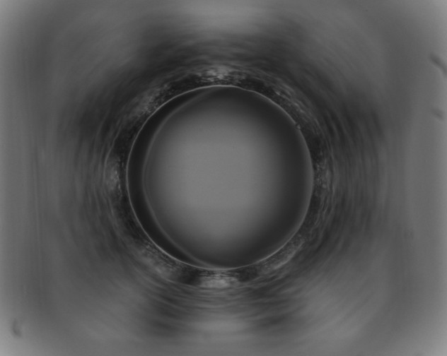 X0000091880754200709051323