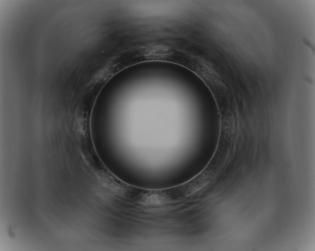 X0000091880755200709051323