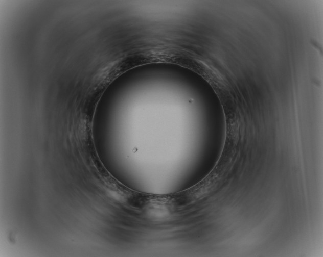 X0000091880757200709051323