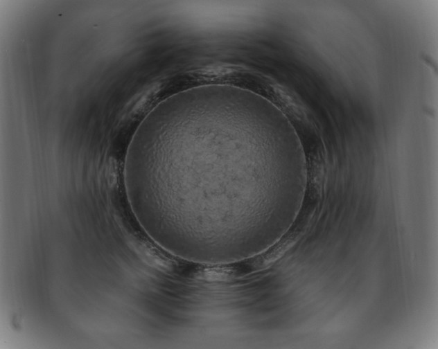 X0000091880758200709051323