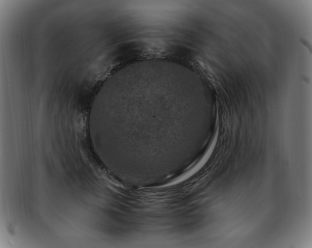 X0000091880759200709051323
