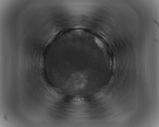 X0000091880760200709051323