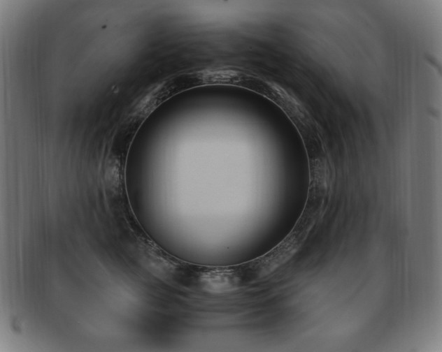 X0000091880761200709051323