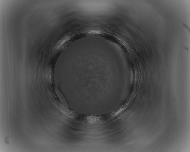 X0000091880762200709051324