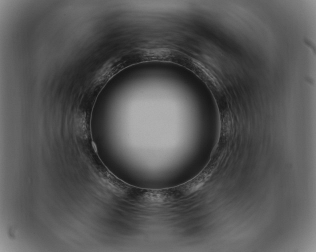 X0000091880764200709051324