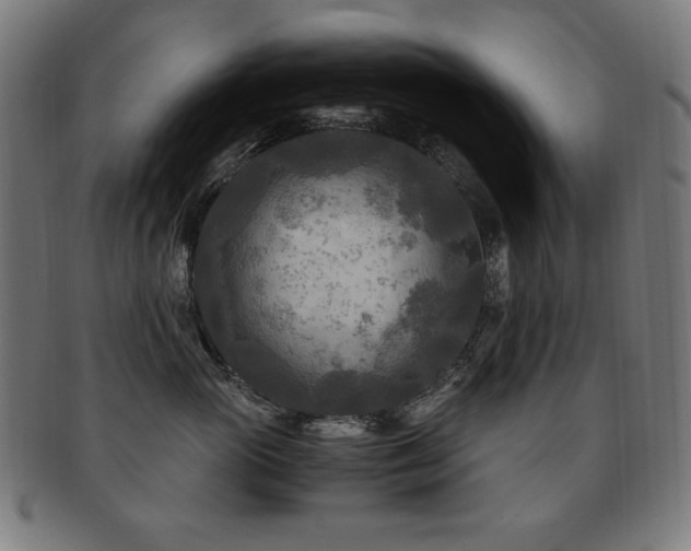 X0000091880765200709051324