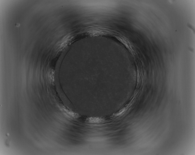 X0000091880766200709051324