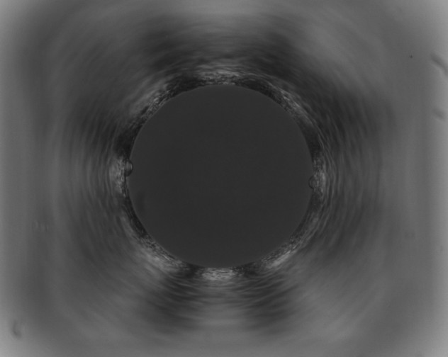 X0000091880767200709051324