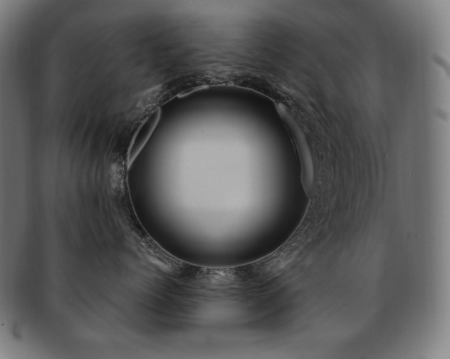 X0000091880768200709051324