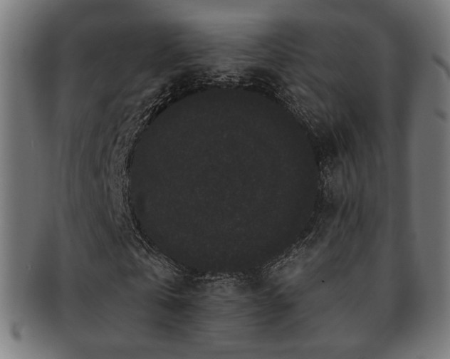 X0000091880769200709051323