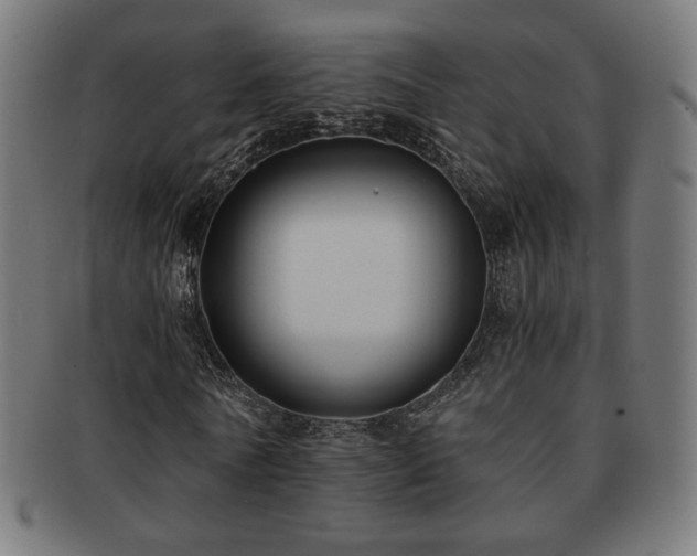 X0000091880770200709051323