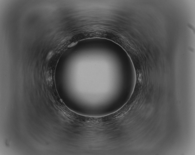 X0000091880771200709051323